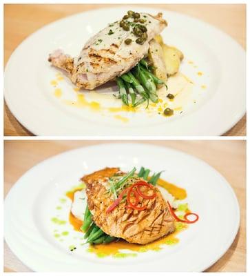 Seared Chicken, Capers, Chili Oil, Haricot Verts, Fingerling Potatoes Grilled Salmon with Soy, Honey Glaze, Mashed Potatoes Haricot Verts