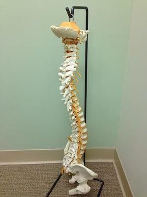 A spine!