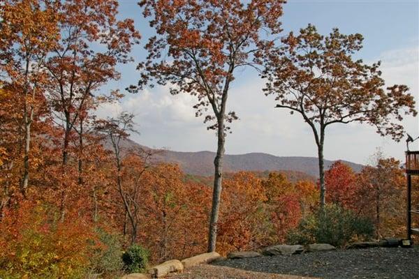 Fall colors in Murphy NC