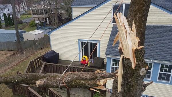 Storm Damage in Budd Lake