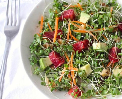 Microgreens are very high in nutrients. Add them to a salad or sandwich!