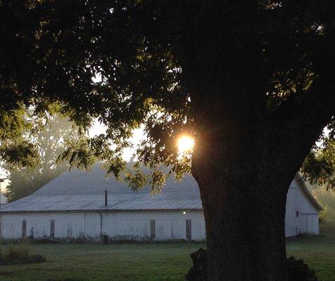 The old barn