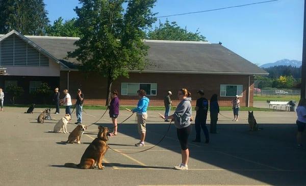 Novice Obedience Class