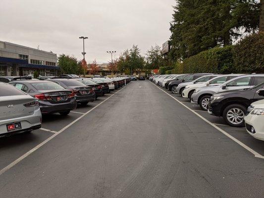 Endless rows of cars to choose from.