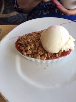 Strawberry rhubarb crisp