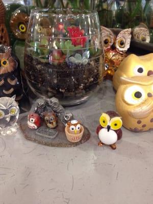 I love looking at Staci's ever-growing owl collection :P There's more every time I come!