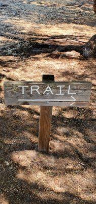 A little sign that says, "TRAIL". It has an arrow pointing to the trail. ;)