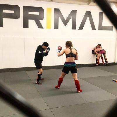 Primal MKE - MMA Gym & Fitness