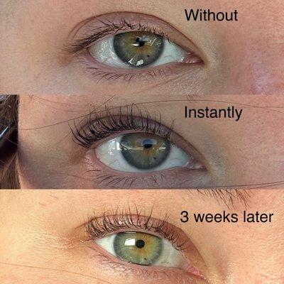 Lash lift + tint by Dominique