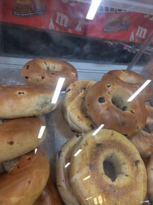 Look at the fly in the bagel hole on the right.