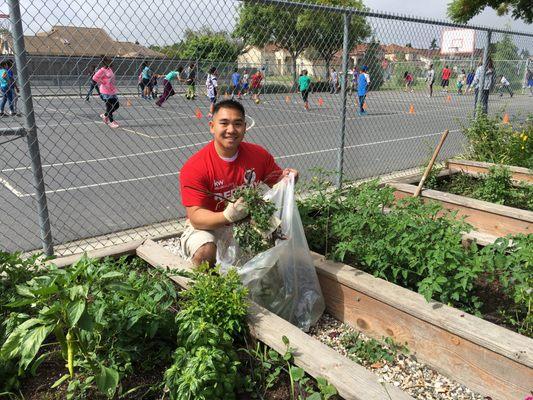 Helping Kitayama Elementary with their garden during Red Day!