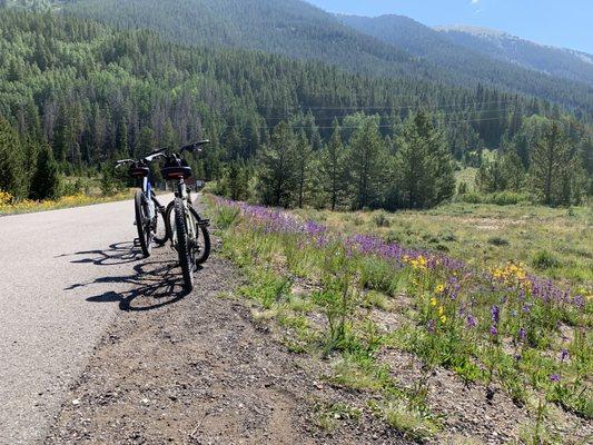 Bike trail