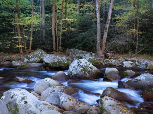 Big Creek, Smoky Mountains