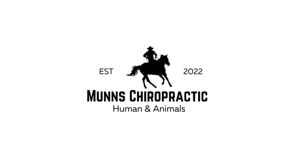 Munns Chiropractic Logo 
Specializes in Equine & Canine Adjustments