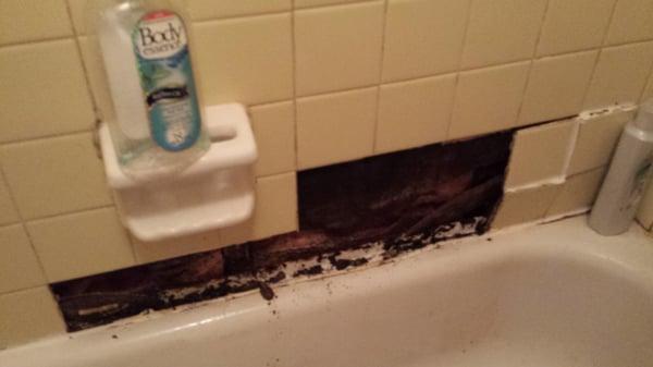 Tiles in the bathroom fell. Took 2 weeks to get fixed.