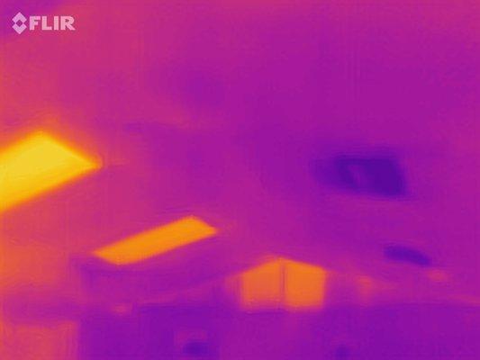 Thermal image taken by one of our best home inspectors during a home inspection.