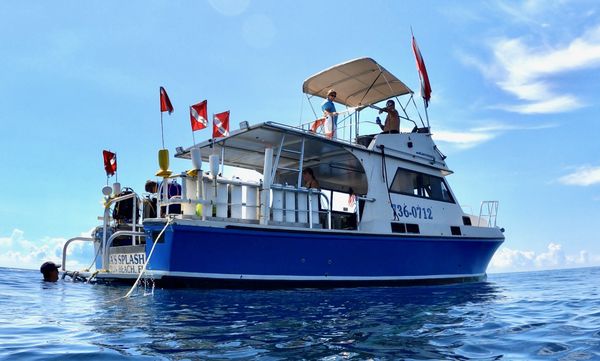 Boynton Beach Diving!