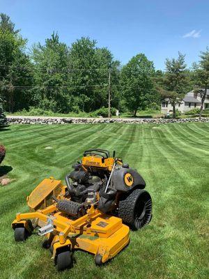 Freshly mowed lawn