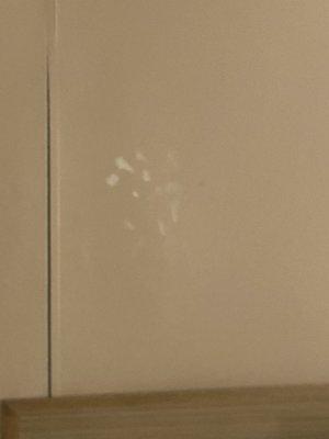 The handprints above the bed