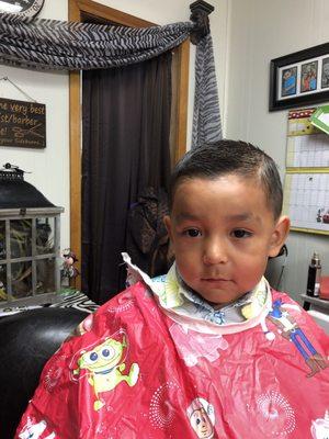 He loves getting a haircut, I wish they were all this easy ,  so adorable