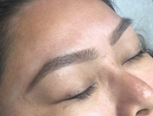 Beautiful arched brows