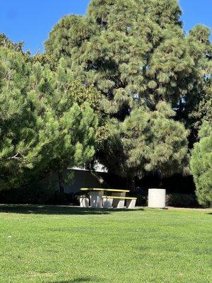 Picnic tables in the shade