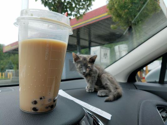 She's about to pilot herself to the bubble tea