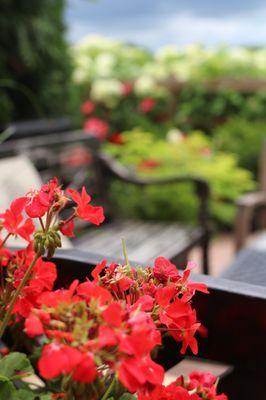 Patio outside bar