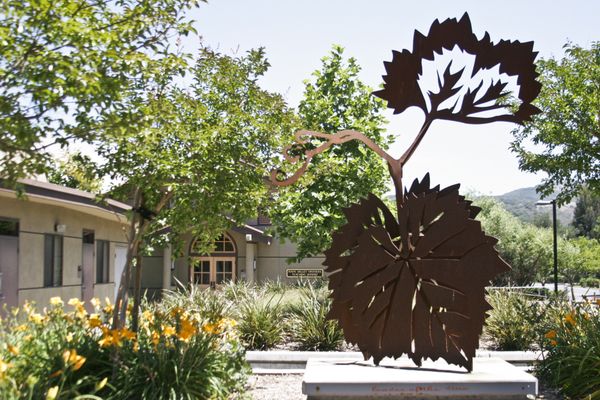 Napa Valley College teaching winery