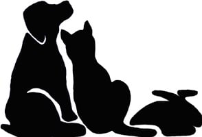 Arlington Animal Clinic Logo