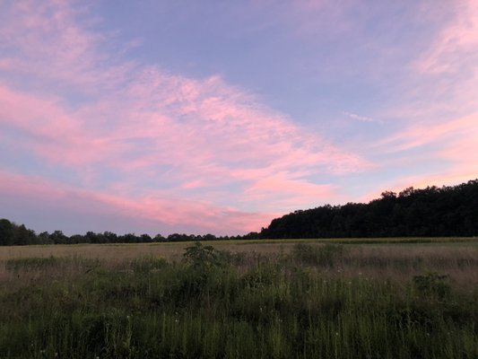 Sunset from the park last night.