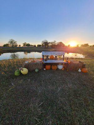 Cobbins Family Pumpkin Patch