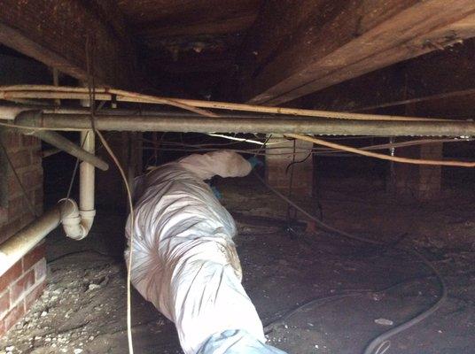 Crawlspace moisture treatment