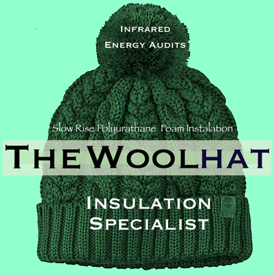 Put A Wool Hat On Your Home RXFoam/Insulation/Innovation
Poured Foam Slow Rise Foam/Gacoprofill/Expandable Foam