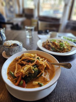 Vegetable and tofu red curry with rice