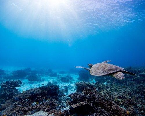 Private snorkeling