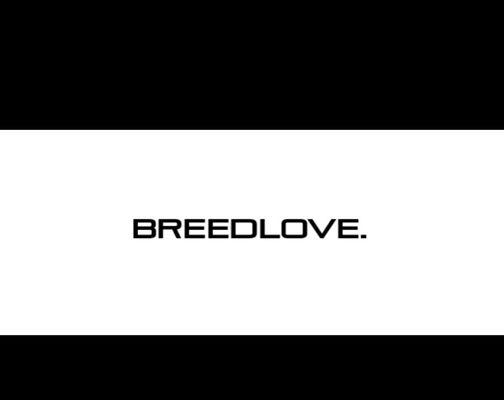 BREEDLOVE World