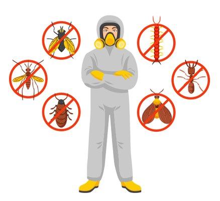 Complete pest management, control and extermination services.