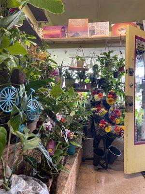 We have plants and flowers for every and all occasion.