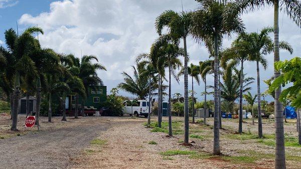 Parking area / Farm / Tiny Houses