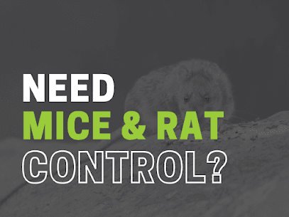 Mice Control