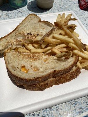 Tuna melt and fries come on the side