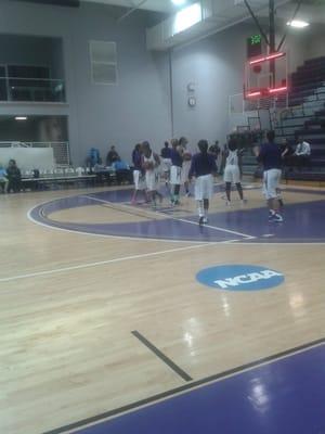 Shoot around