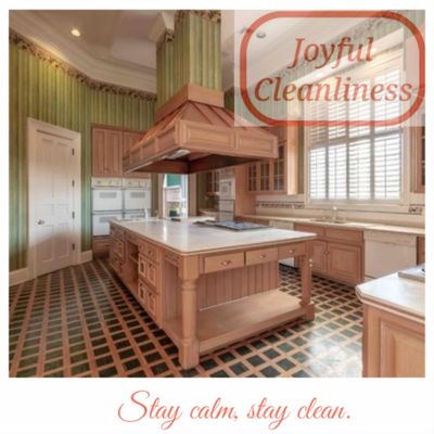 Joyful Cleanliness