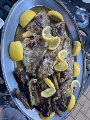 Grilled fish platter