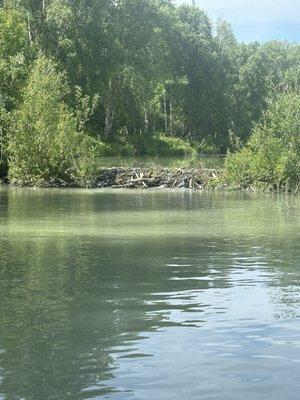 Talkeetna River Park