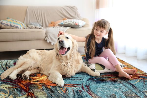 Boston Rug Company