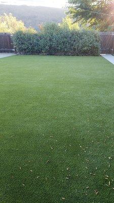 Completed backyard installation using K-9 Grass.