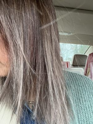 Purplish/gray color and uneven coloring/and fried hair