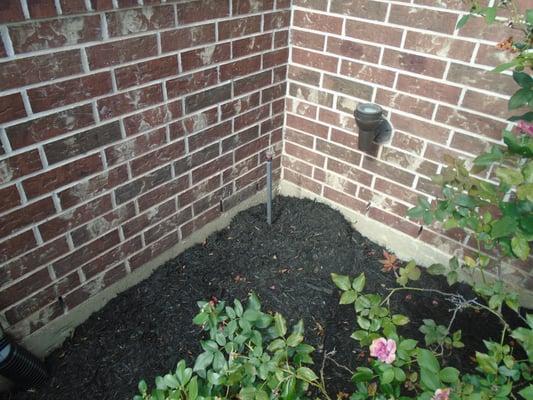 Flower bed mulch is too high.  Material should not be less then 6 inches from the top of the foundation to inhibit termite/moisture entry.